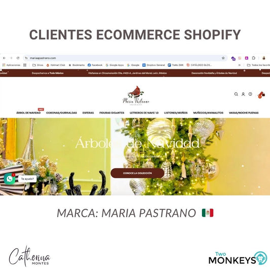 ECOMMERCE EN SHOPIFY CHILE