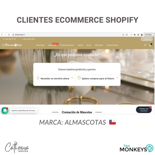 ECOMMERCE EN SHOPIFY CHILE